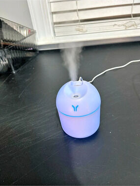 Little Y USB Mini Humidifier Color-Changing Mist Diffuser in Pink & Blue
